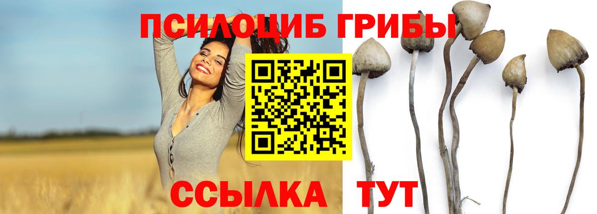 Галлюциногенные грибы мухоморы  Вход с VPN  Псилоцибиновые грибы прущие грибы  цена   Холмск 